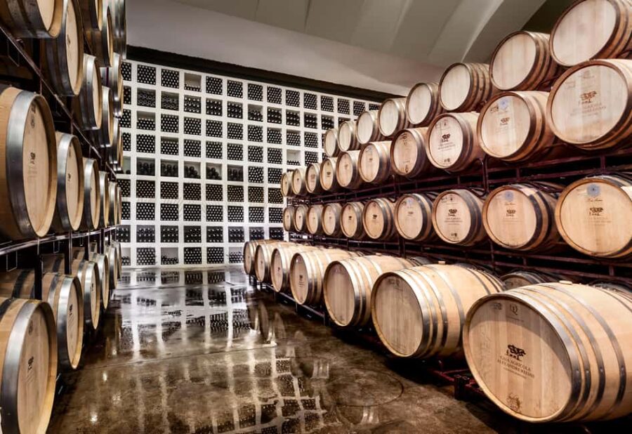 Casa Relvas, Évora - Visit to the Winery with Tasting of 5 wines and Tapas - Observing the Winemaking Process in Detail