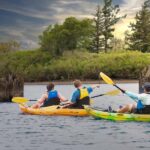 Cascade Locks: Columbia River Gorge Kayak Tour - Detailed Itinerary and Key Stops