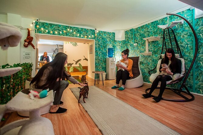 Cat Museum Budapest Entry Ticket - The Art Exhibitions and Cultural Highlights