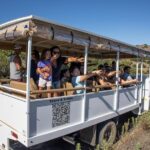 Catalina Island 2-Hour Insider Adventure Tour - Wildlife Encounters: What Animals Might You See?