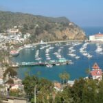 Catalina Island City & Scenic Mt. Ada Tour - A Scenic Ride in the New Safari Tram, The Eagle