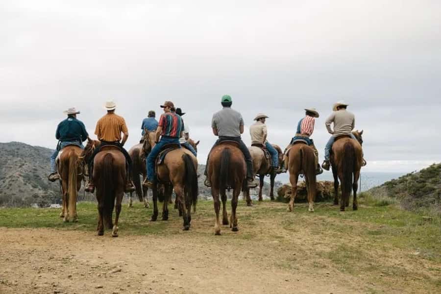 Catalina Island: Horse Trail Overlook Ride - Catalina Island’s Unique Horse Trail Overlook Ride