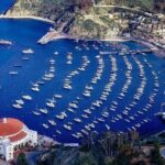 Catalina Island Private Guided Golf Cart Tour of Avalon - Highlights of Avalon’s Top Landmarks