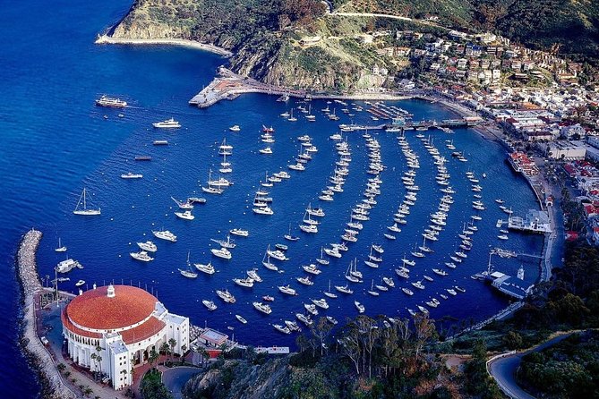 Catalina Island Private Guided Golf Cart Tour of Avalon - Highlights of Avalon’s Top Landmarks