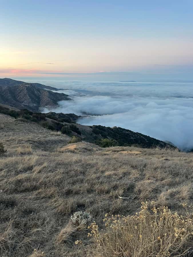 Catalina Island: Sunset Summit Tour - Riding Aboard the Safari Tram, The Falcon