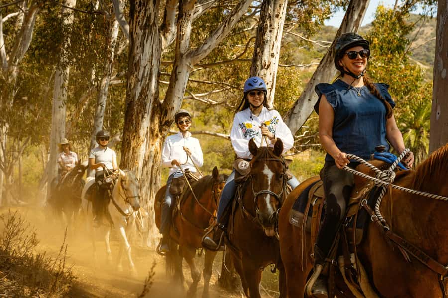 Catalina Island: Trail and Canyon Horseback Ride - Route and Scenic Highlights in Avalon’s Hills