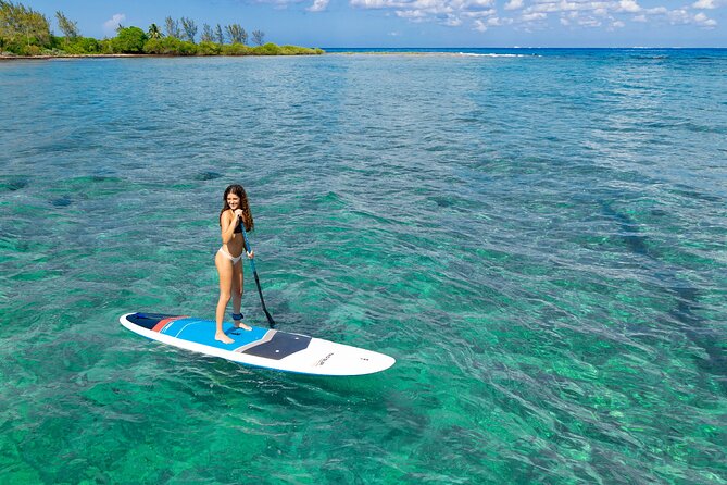 Catamaran along the Riviera Maya Snorkel food and open bar - Starting Point with Comfortable Transport in Cancun