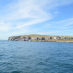 Catamaran Islas Marietas - Snorkel & Open Bar - The Vessel: Expectation vs. Reality