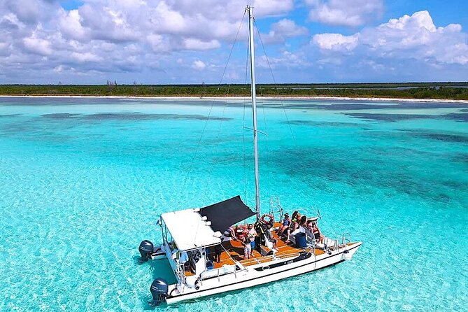 Catamaran Snorkeling to El Cielo and The Money Bar Beach Club - Exploring the Stops: Palancar Reef and Its Underwater Wonders