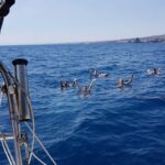 Catania Sail, spritz and fun at sunset - Exploring the I Faraglioni Di Aci Trezza