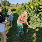Cavaion: Lake Garda Wine & Food Tasting with Vineyard Tour - Scenic Vineyard Tour Near Lake Garda