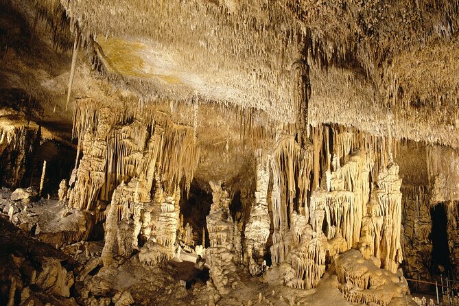 Caves Drach Tour & Return Transfer from Cala Dor-Calas Mallorca - Exploring the Caves of Drach: The Main Features