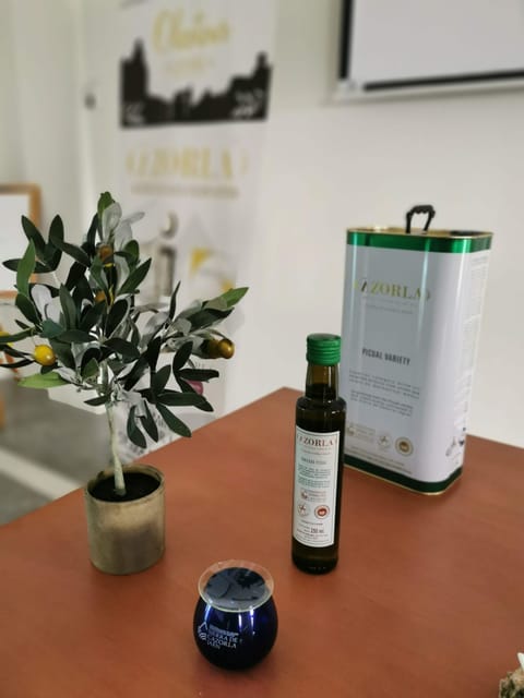 Cazorla: Oleotour - Olive Oil Culture Initiation - The Cazorla Oleotour: A 2-Hour Introduction to Olive Oil