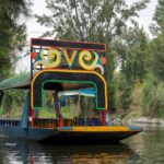 CDMX Enjoy a unique tour of Xochimilco and Coyoacán - Visiting UNAMs Central Campus and Murals