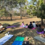 CDMX: Nature Therapy Guided Session - Discovering the Concept of Nature Therapy in Mexico City