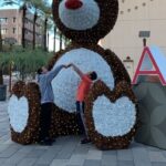 Celebrate the Season with a Holiday Scavenger Hunt in Tucson - Starting Point and Meeting Details in Tucson