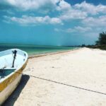Celestun Beach and Mangrove Boat Ride from Merida - Unique Highlights of the Celestun Reserve