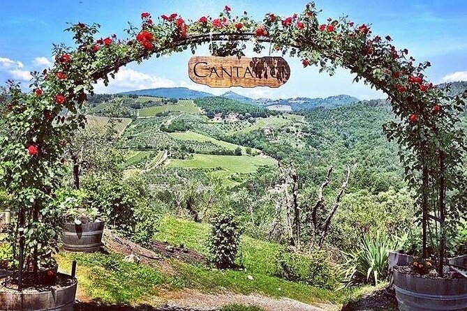 Cellar tour, Tasting of 6 wines, dish combined typical products - Starting Point and Tour Logistics in Lucca