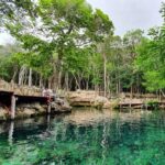 Cenote Cavern Tour and Swim with Sea Turtles in Akumal - Starting Point and Transportation Logistics in Playa del Carmen