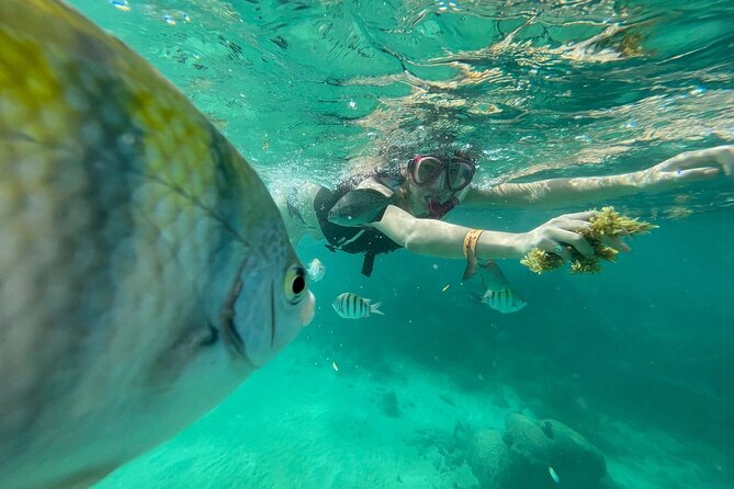 Cenotes Private Tour VIP - Yal-ku Lagoon: The First Stop for Snorkeling and Relaxation