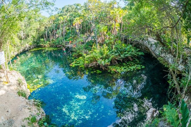 Cenotes Taak Bi Ha & Nicte Ha  VIP Snorkeling Private Tour - Pickup and Transportation from Tulum