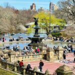 Central Park 2 - Hours Private Pedicab Guided Tour - Discover the Most Photogenic Spots in Central Park