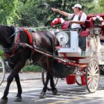 Central Park Carriage Ride w/ Drop Off @ Tavern On Green (45 min) - Stops at the Park’s Most Photogenic Spots