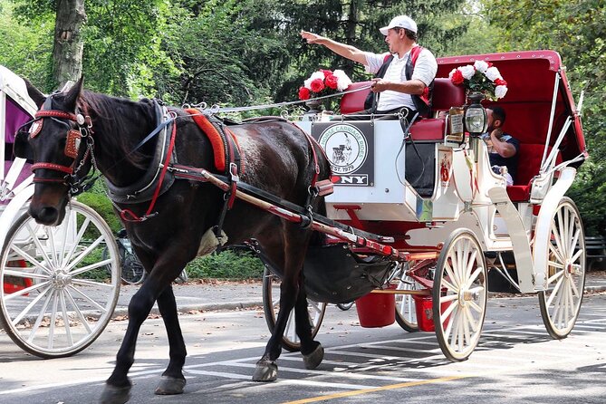 Central Park Carriage Ride w/ Drop Off @ Tavern On Green (45 min) - Stops at the Park’s Most Photogenic Spots