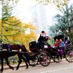 Central Park Horse Carriage Ride Short Loop (Up to 4 Adults)) - The Meeting Point and Easy Access