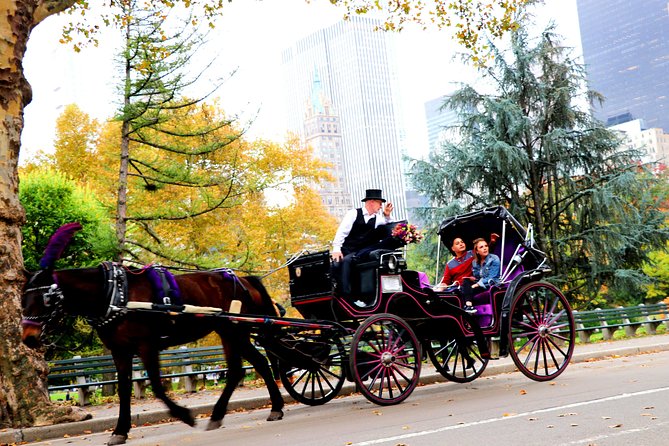 Central Park Horse Carriage Ride Short Loop (Up to 4 Adults)) - The Meeting Point and Easy Access