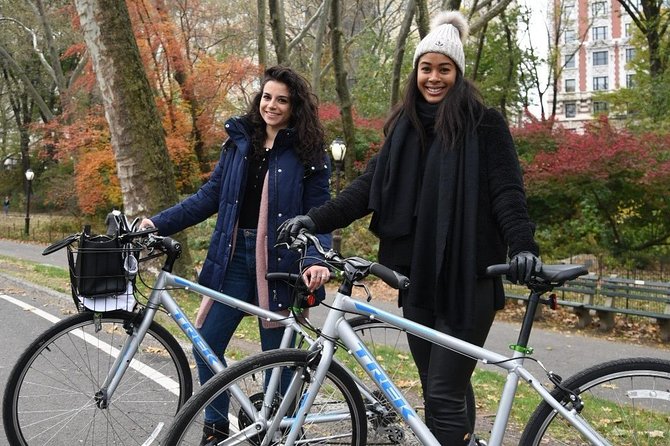 Central Park New York City Bike Rental - Choosing Your Bike: Styles and Comfort