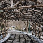 Central Park New York - Exclusive Guided Walking Tour - Starting Point and Tour Structure