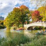Central Park Private Walking Tour with Transfers - Exploring Central Parks Scenic Pathways and Iconic Landmarks