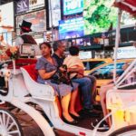 Central Park, Rockefeller & Times Carriage Ride (4 Adults) - How the Tour Begins at Central Park South