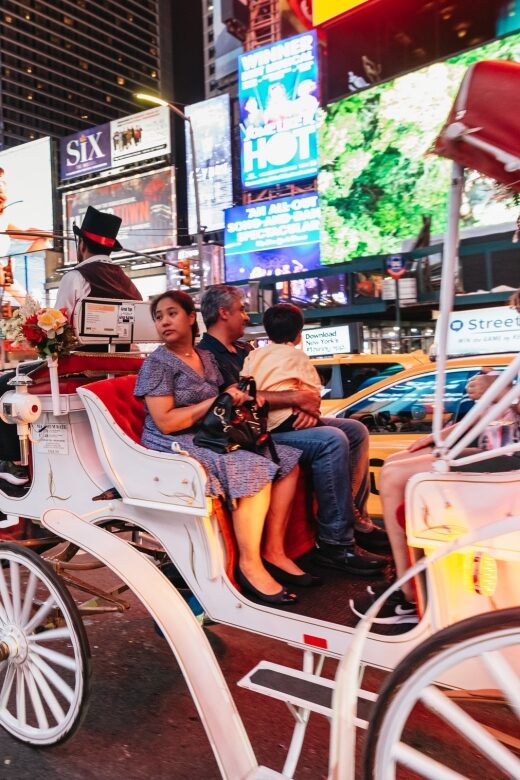Central Park, Rockefeller & Times Carriage Ride (4 Adults) - How the Tour Begins at Central Park South