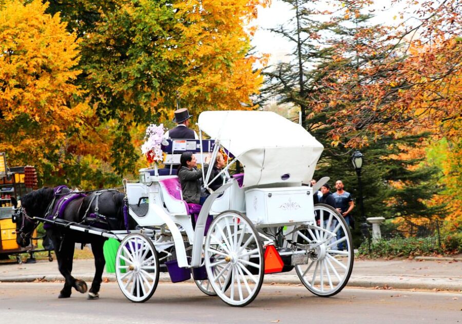 Central Park: Short Horse Carriage Ride (Up to 4 Adults) - Meeting Point at the José Julián Martí Statue