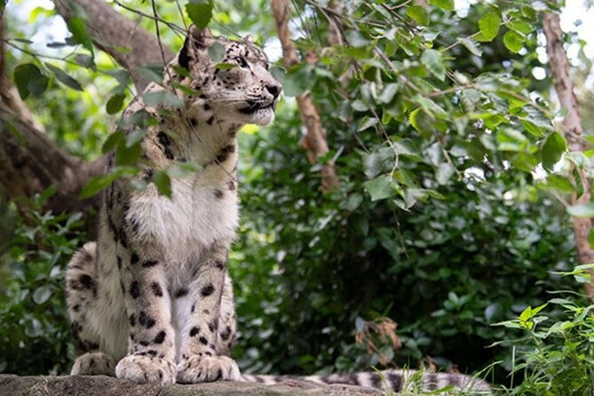 Central Park Zoo Admission Ticket with 4D Theater Access - Exploring the Biomes: Tropic Zone, Temperate Territory, and Polar Circle