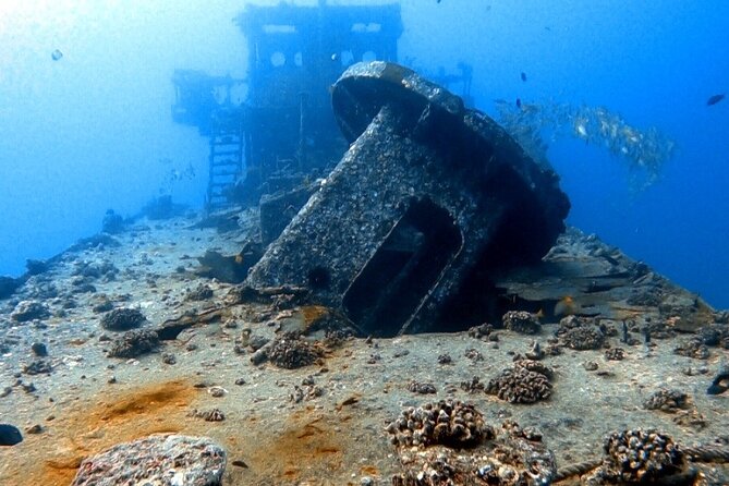 Certified Diver: 2-Tank Deep Wreck and Shallow Reef Dive Off Oahu - Comfortable and Well-Equipped Boat Experience
