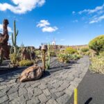 Cesar Manrique Highlights Half Day Tour - Highlights from the Guide and Visitor Feedback