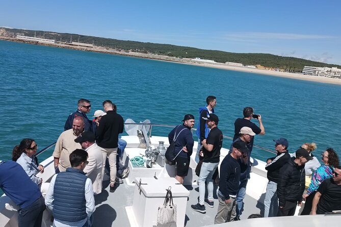 Cetacean Watching Tour - What Marine Life Can Be Seen on the Route?