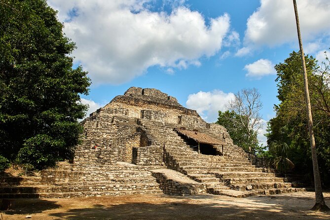 Chacchoben Ruins With certified Guide from Costa Maya Cruise Port - Jungle Walks and Nature Encounters