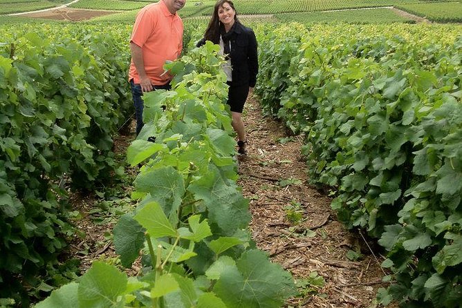 Champagne Area Small-Group Tour including a Top Champagne house & Family Winery - Exploring Moët & Chandon in Epernay