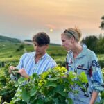 Champagne Private VIP Wine Day Trip with Michelin Lunch - Exclusive Visits to Champagne Houses with Expert Insights