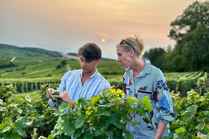 Champagne Private VIP Wine Day Trip with Michelin Lunch - Exclusive Visits to Champagne Houses with Expert Insights
