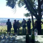Champagne tasting, panoramic walk in the vineyards - Exploring the Vineyards of Hautvillers