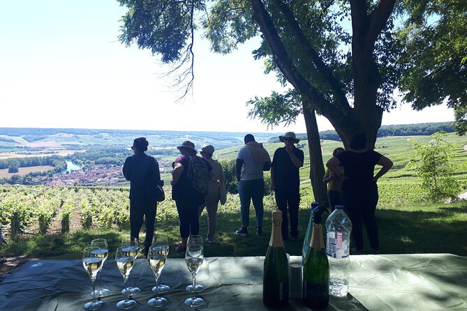 Champagne tasting, panoramic walk in the vineyards - Exploring the Vineyards of Hautvillers