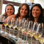 Champagne Tour from Paris by minivan with Reims Cellars & Champagne Tasting - Visiting the Reims Cathedral and Champagne Cellars