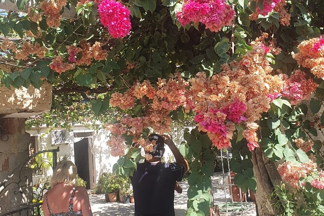 Chania Area: Cooking Class at a Farm in Stylos Village (organic) - Location and Meeting Point in Stylos Village