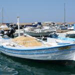 Chania City & Lake Kournas Tour - Relaxing at Lake Kournas and Its Scenic Charm