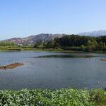 Chania Ebike Eco-Long Tour with Traditional Snack - An Eco-Adventure on Crete’s Countryside